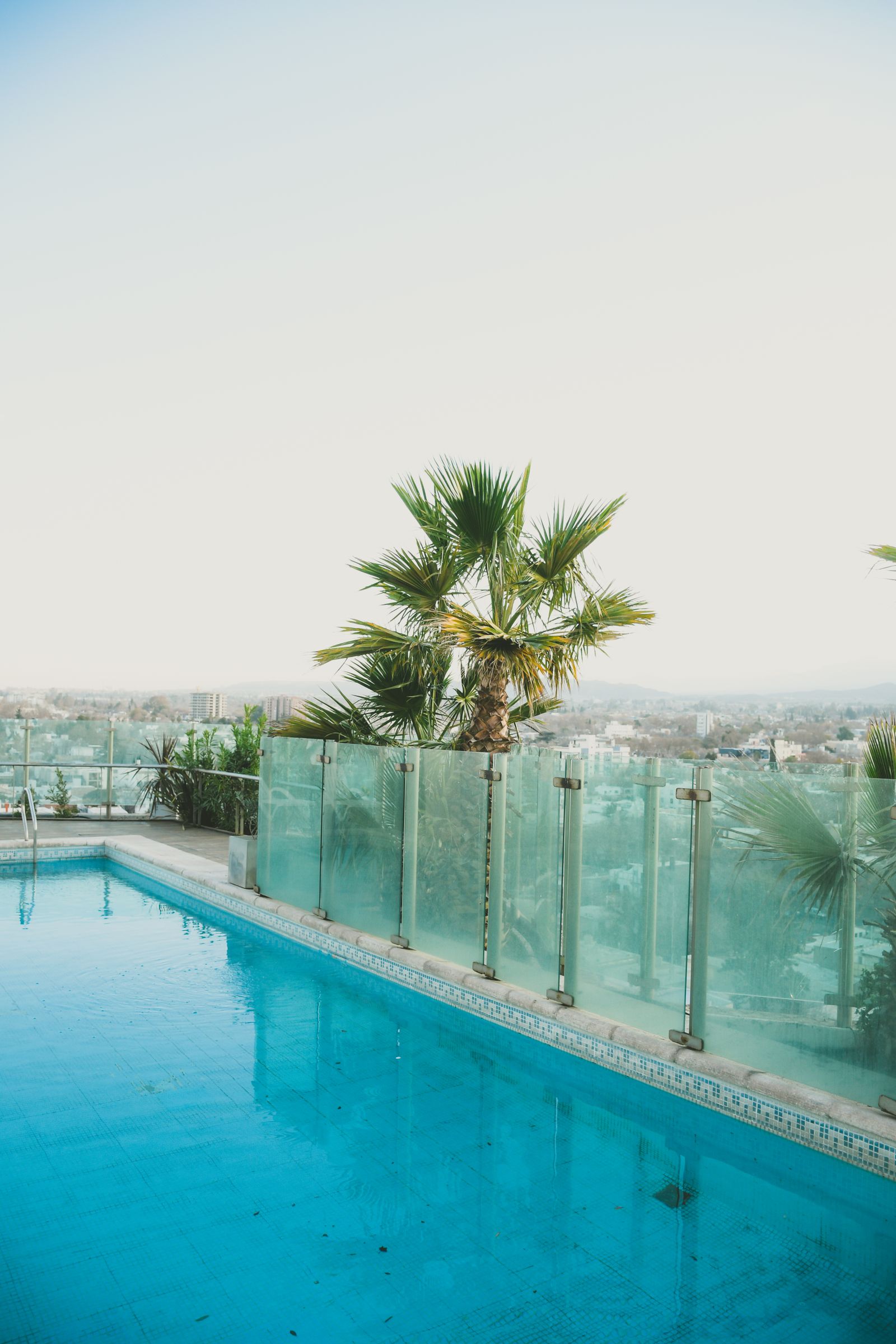 Rooftop pool overlooking the city